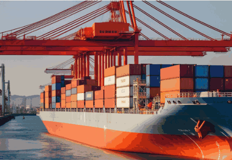 1717051315659055223.png 86112f890304e9dd1fed8a3aa0deaef9.png