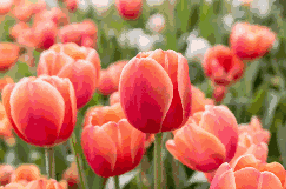 海关数据,USDT钱包海关数据,荷兰海关数据